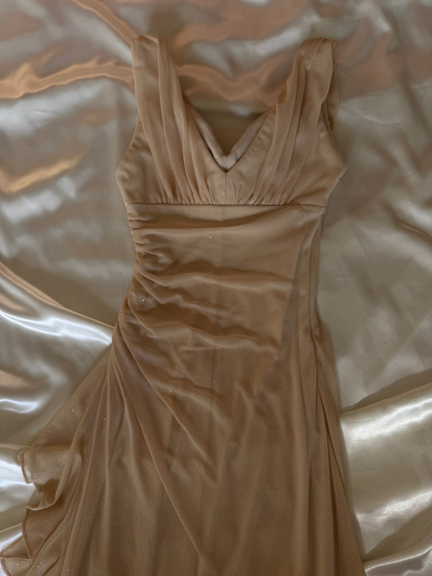 Sparkly Beige Vintage Dress