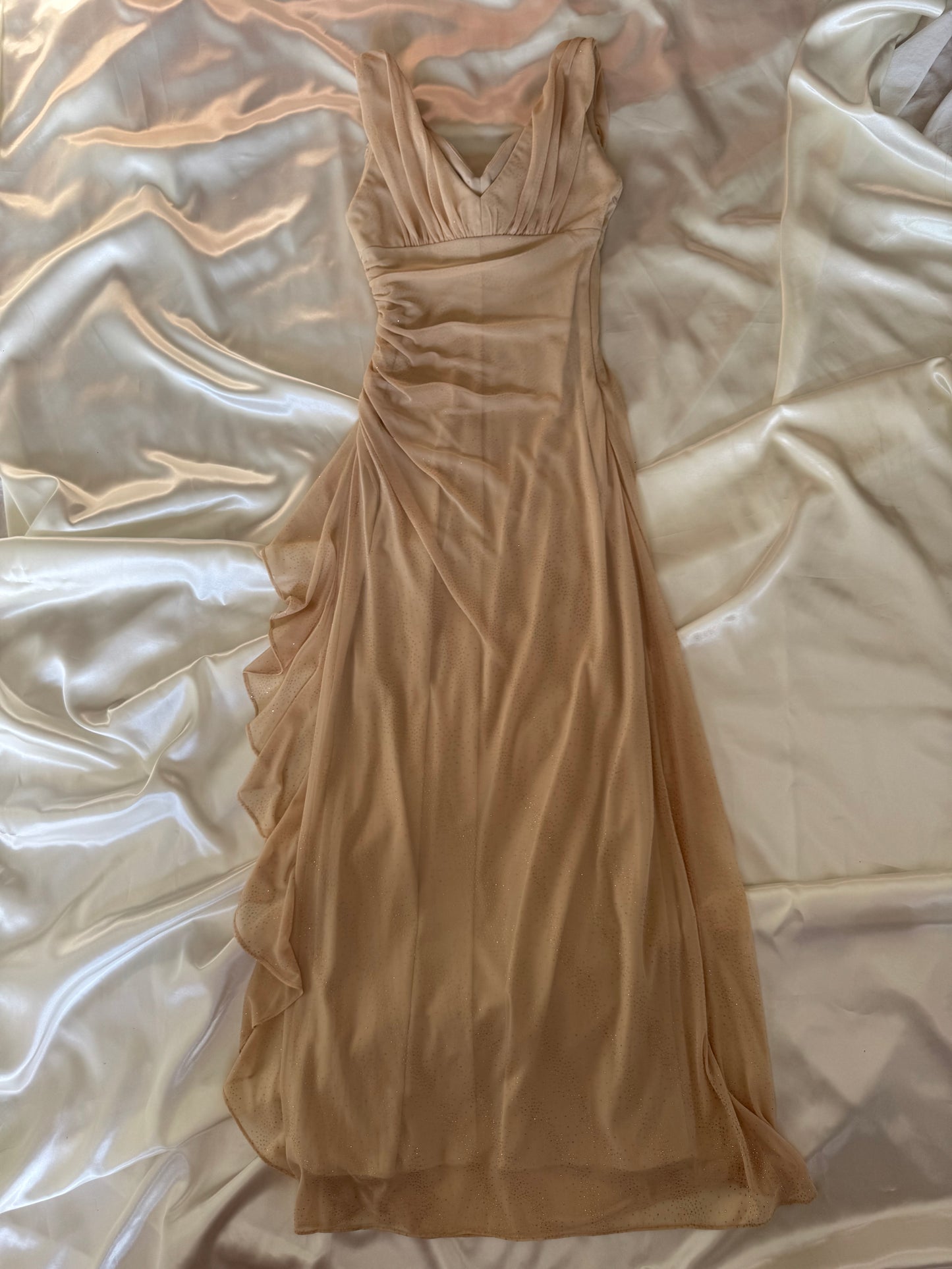 Sparkly Beige Vintage Dress