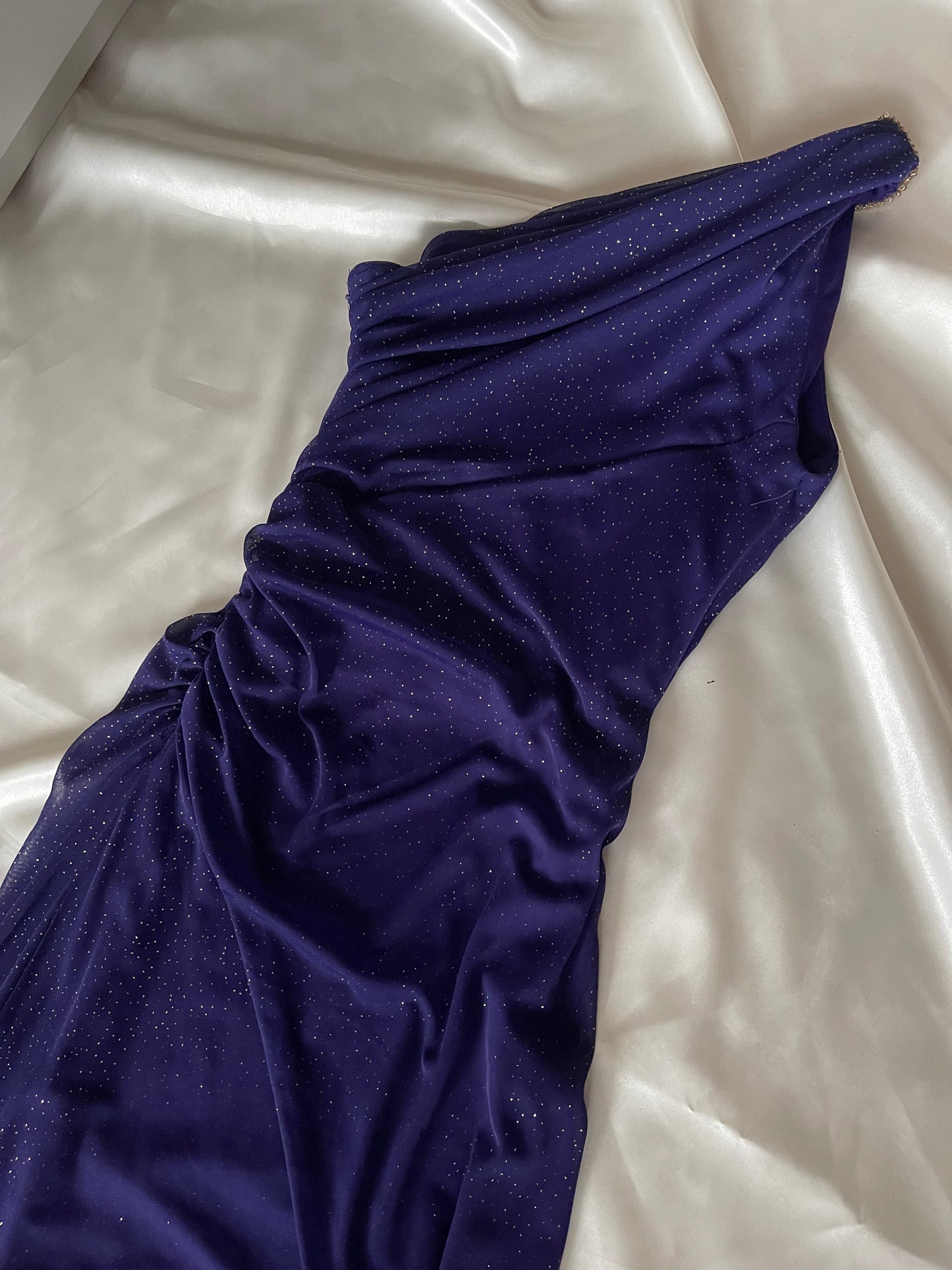 Sparkly Dark Purple Midnight Gown