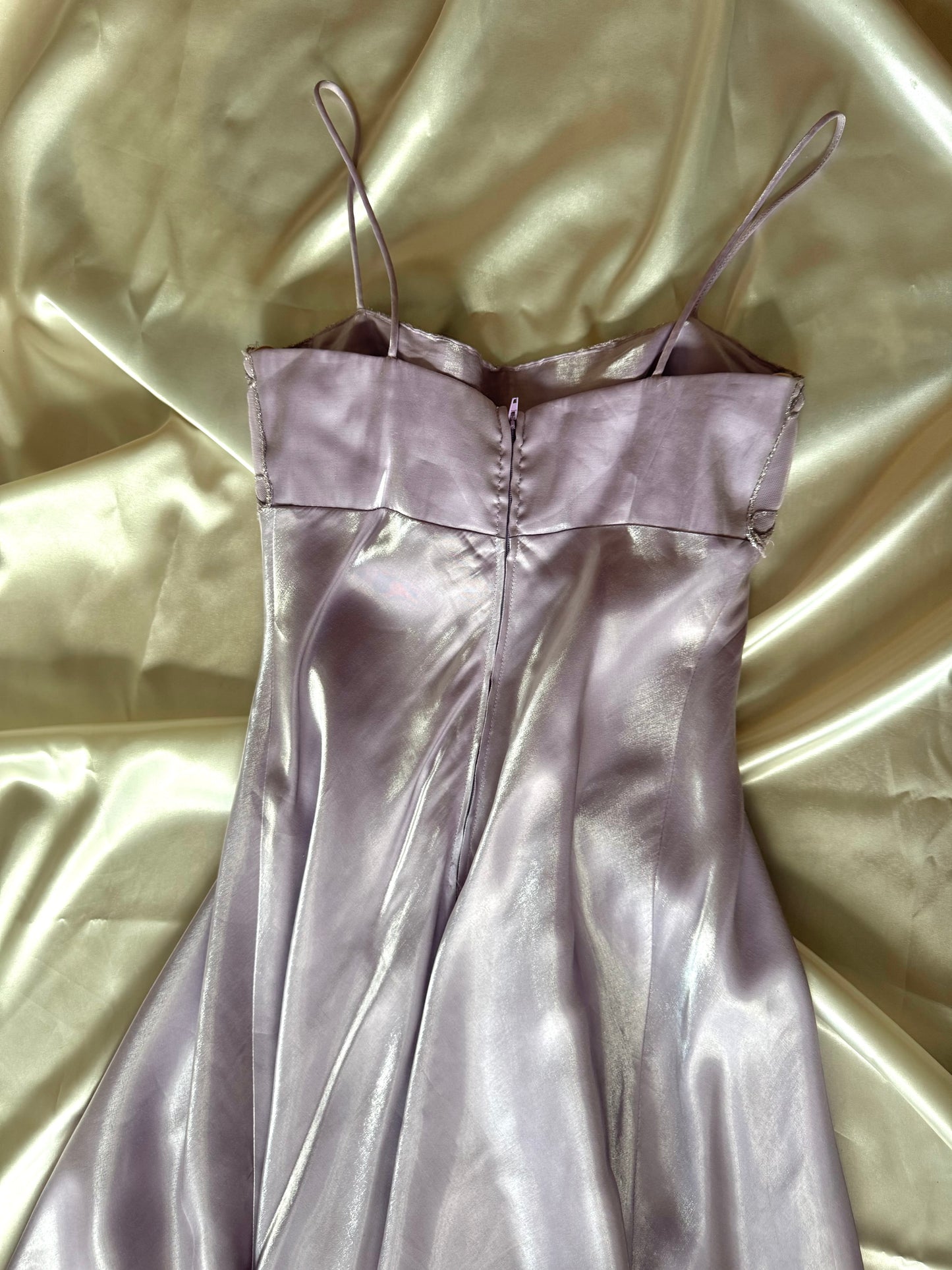 Gorgeous Lilac Purple Vintage Royal Gown