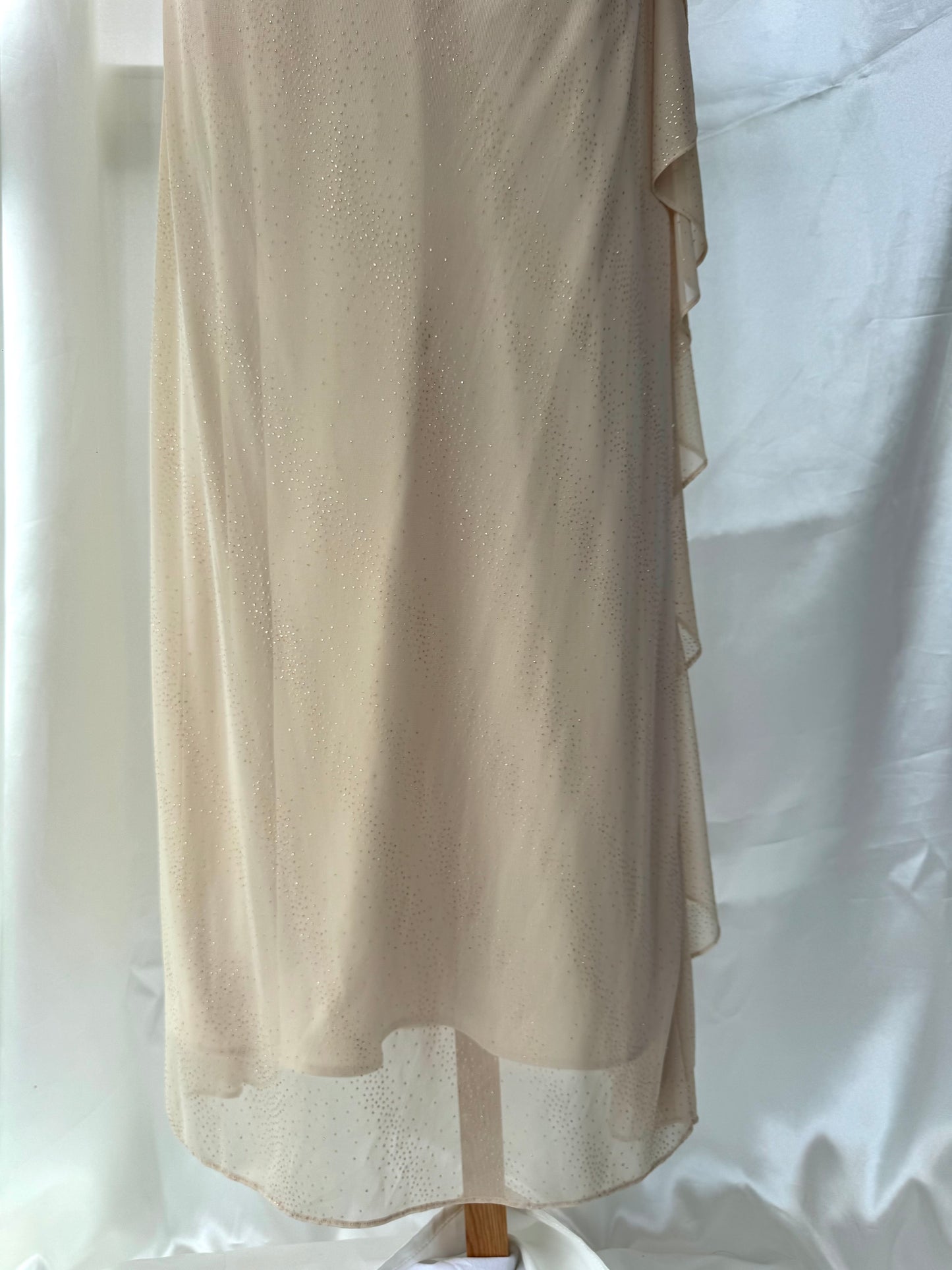 Sparkly Beige Vintage Dress