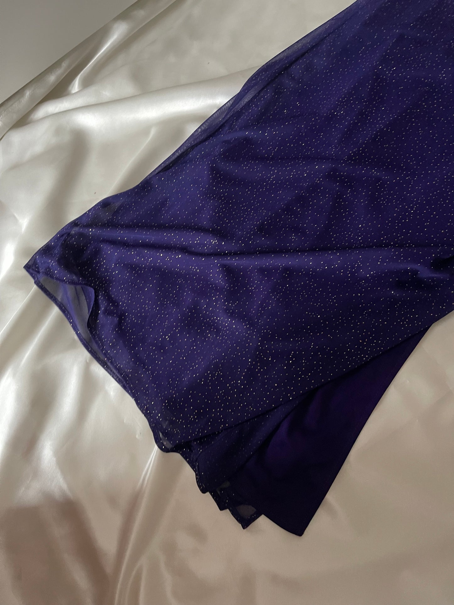Sparkly Dark Purple Midnight Gown
