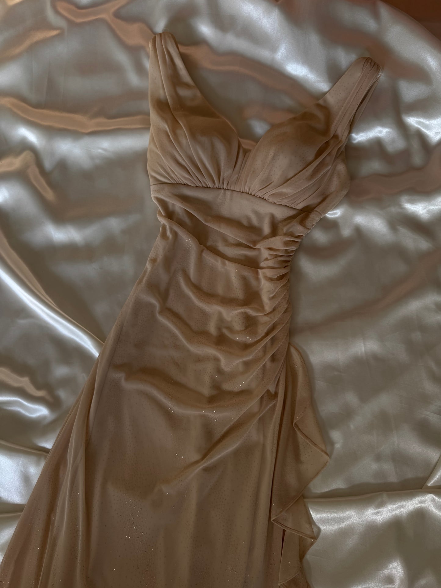 Sparkly Beige Vintage Dress