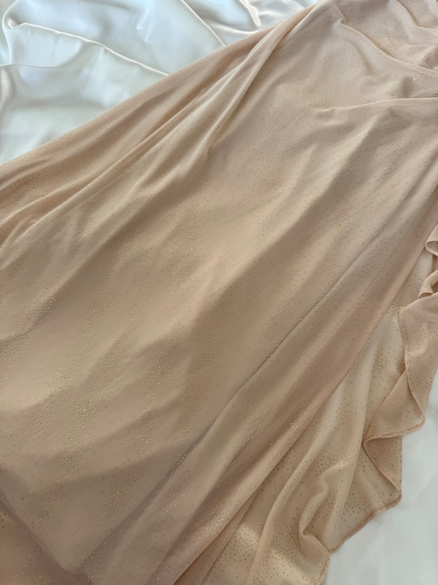 Sparkly Beige Vintage Dress