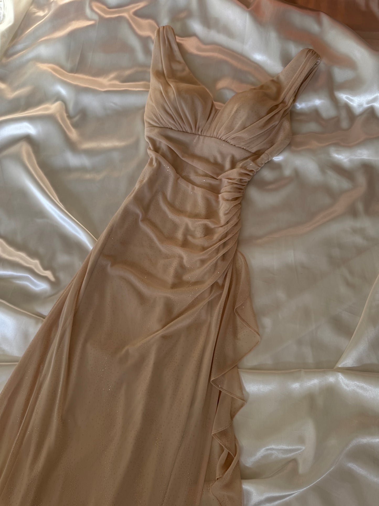 Sparkly Beige Vintage Dress