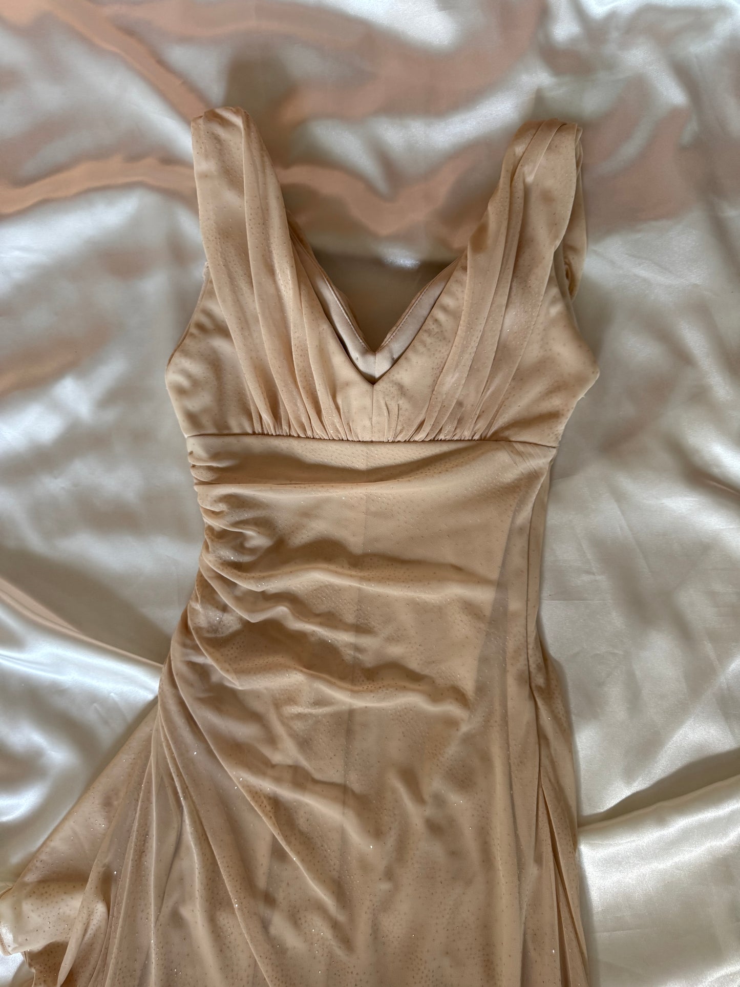 Sparkly Beige Vintage Dress