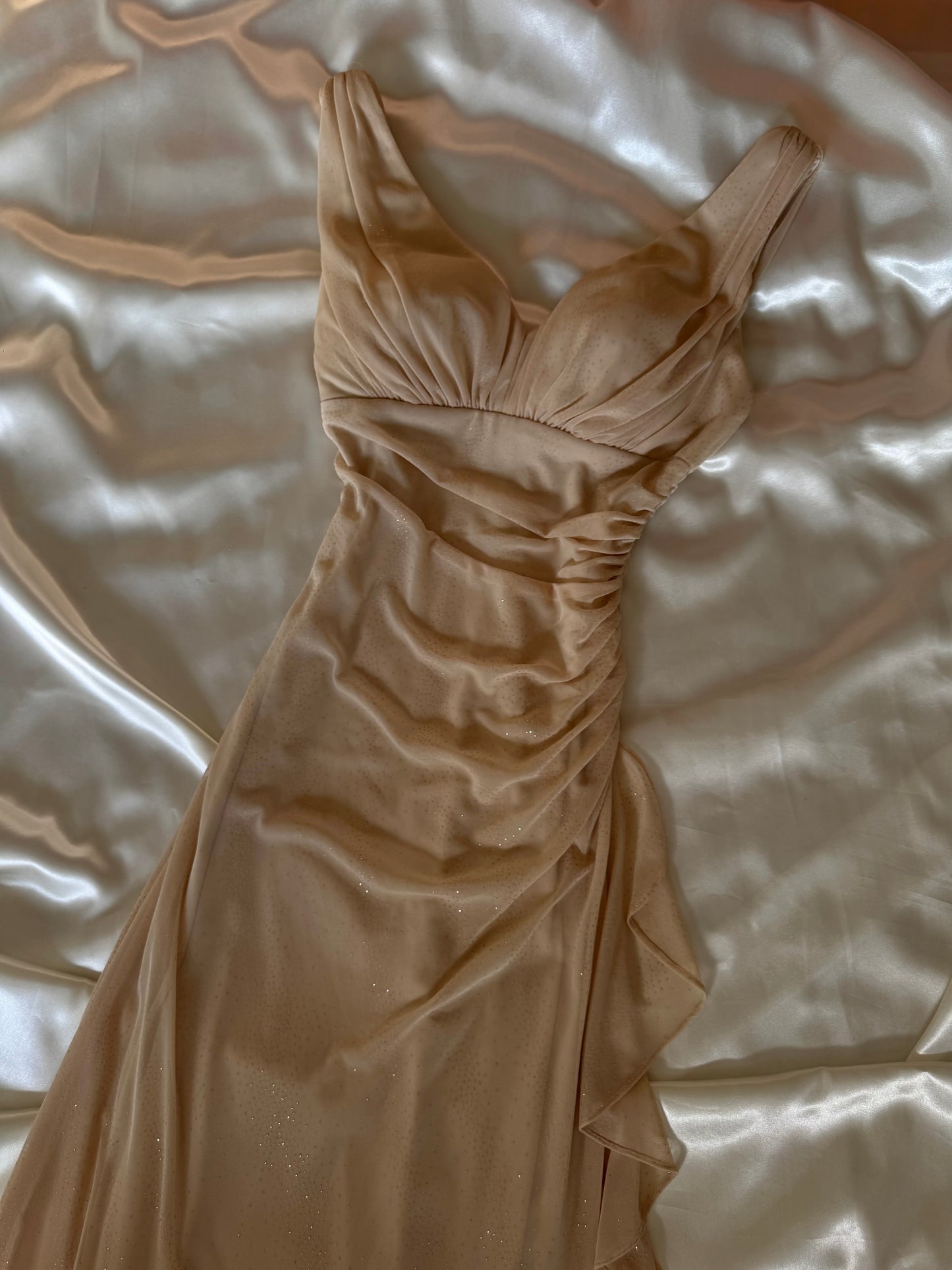Sparkly Beige Vintage Dress