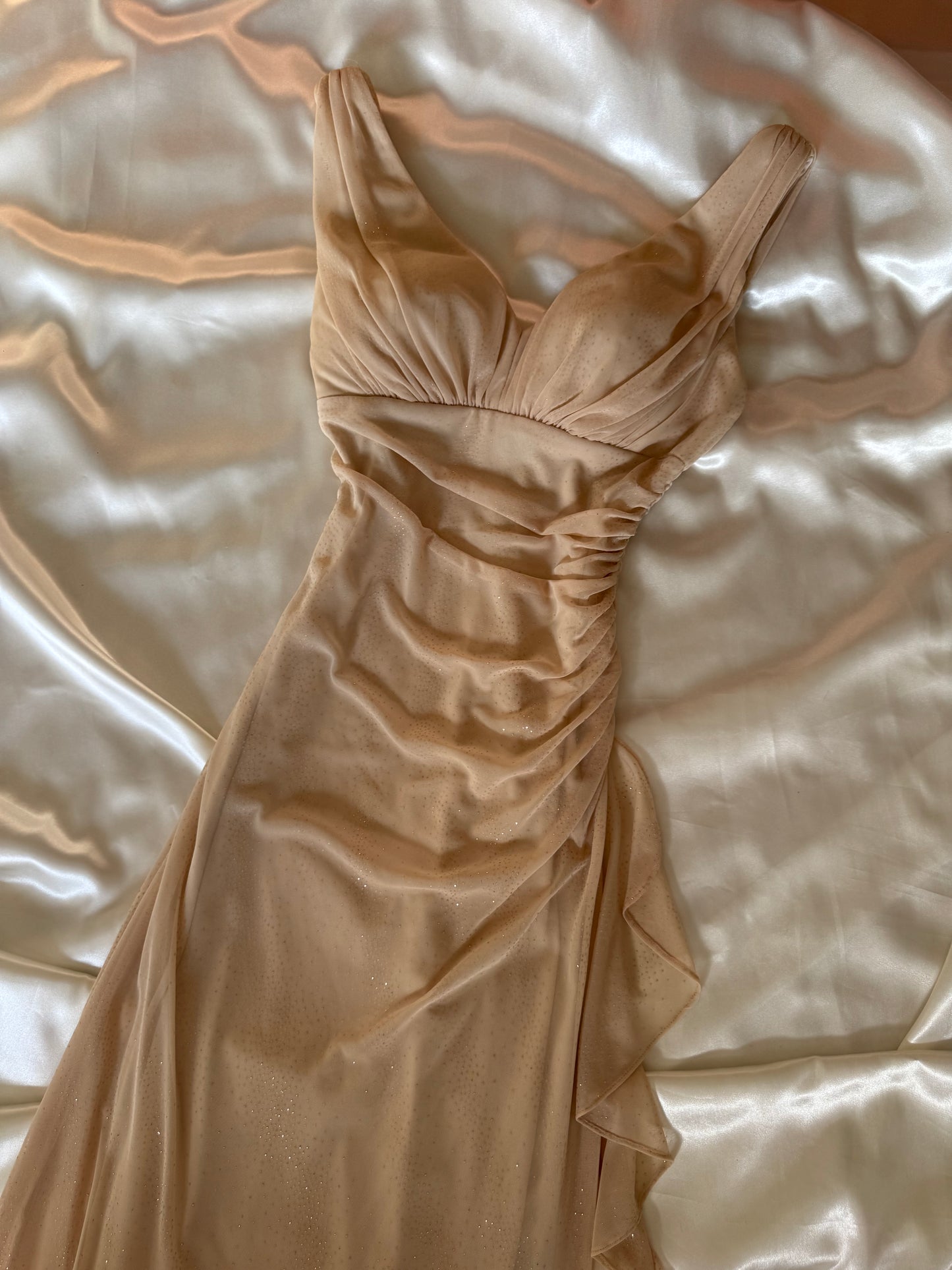 Sparkly Beige Vintage Dress