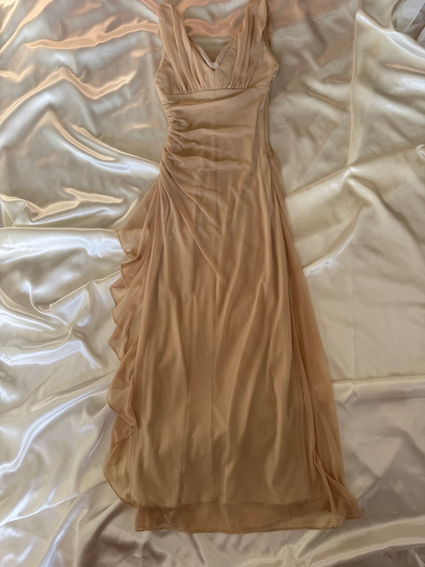 Sparkly Beige Vintage Dress