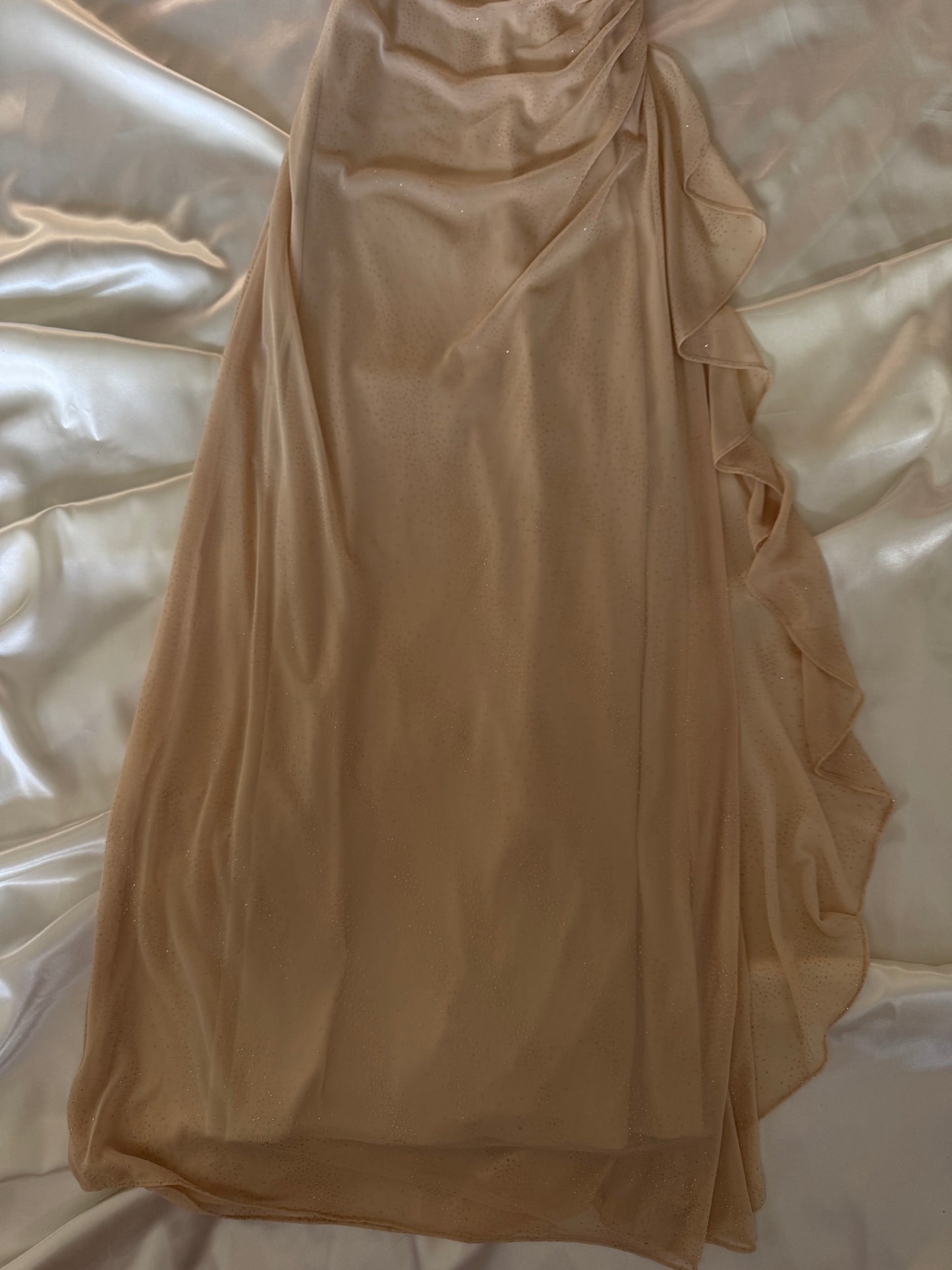 Sparkly Beige Vintage Dress