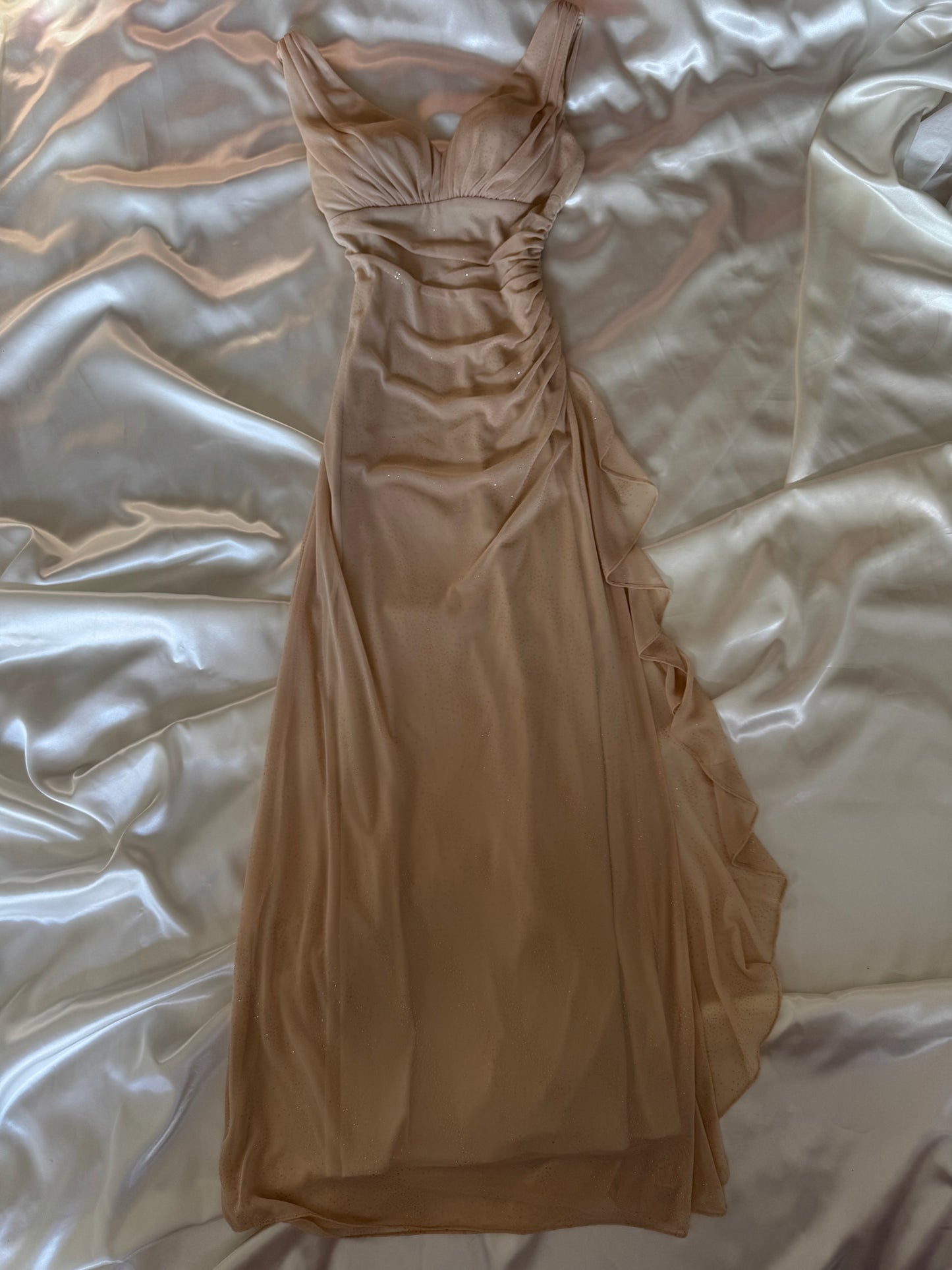 Sparkly Beige Vintage Dress