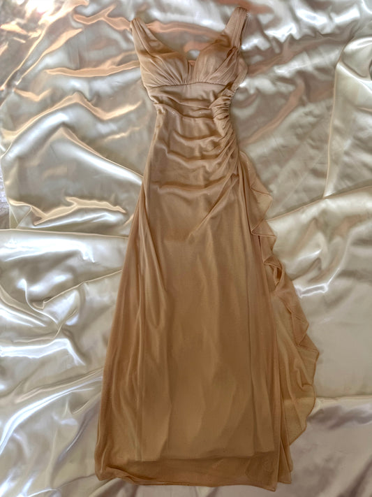 Sparkly Beige Vintage Dress