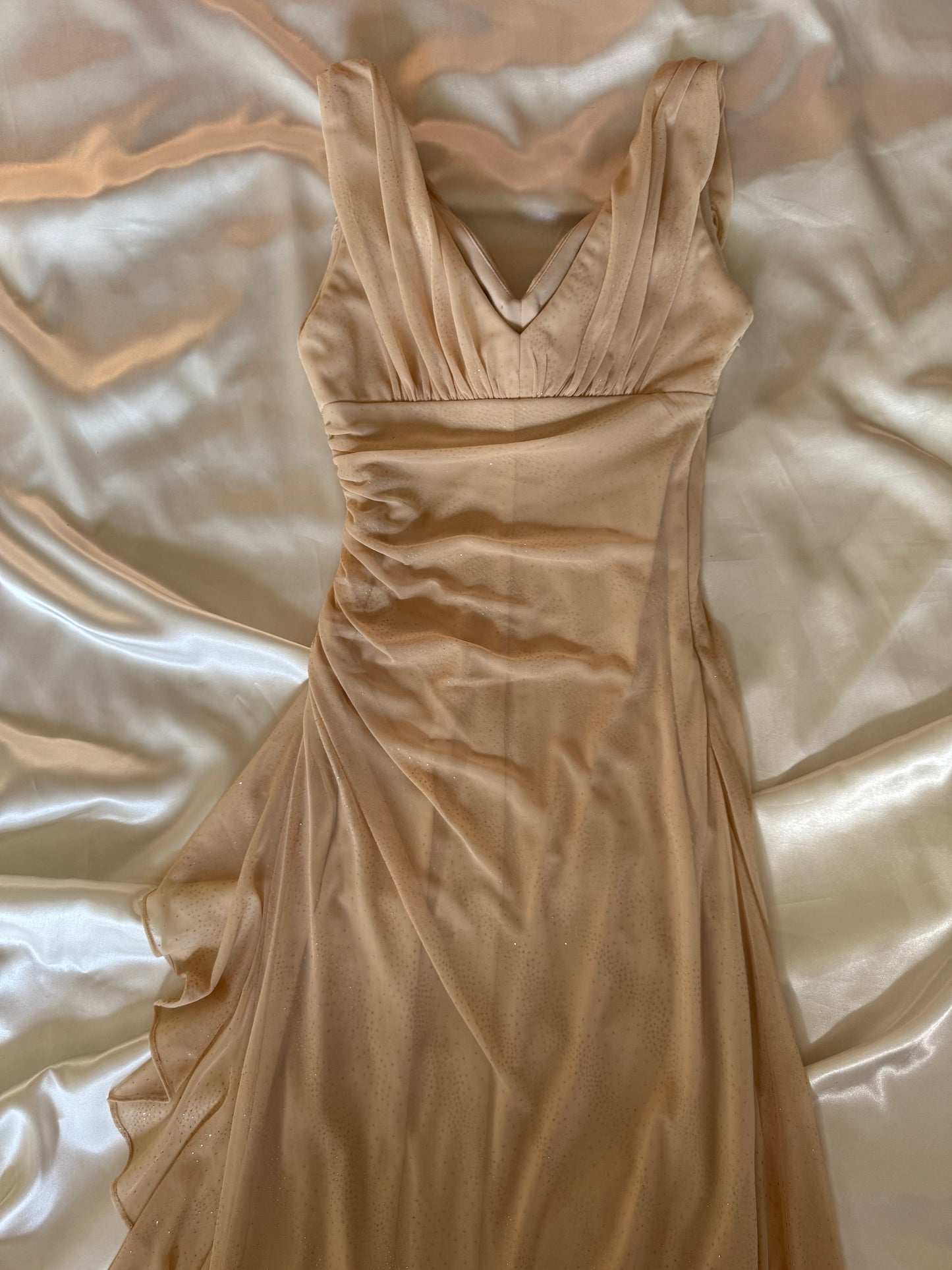 Sparkly Beige Vintage Dress